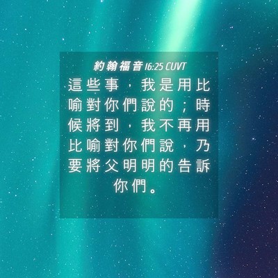 Picture 04 - 約 翰 福 音 16:25 CUVT - 這 些 事 ， 我 是 用 比 喻 對 你 們 - Bible Verse Picture