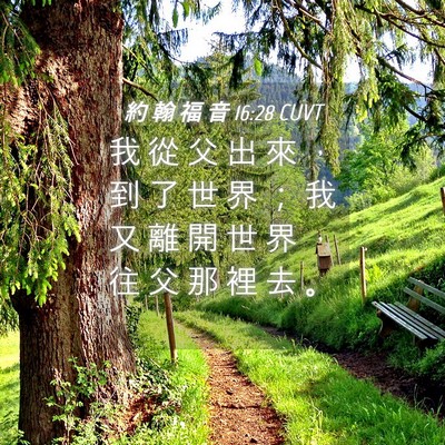 Picture 04 - 約 翰 福 音 16:28 CUVT - 我 從 父 出 來 ， 到 了 世 界 ； 我 - Bible Verse Picture