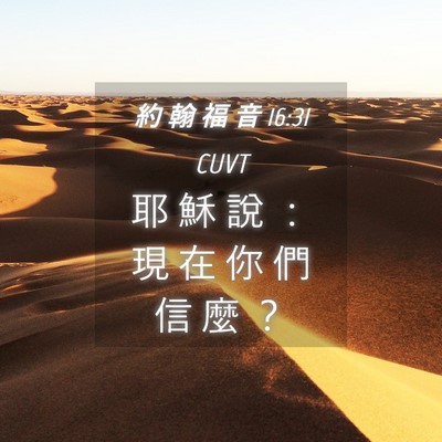 Picture 04 - 約 翰 福 音 16:31 CUVT - 耶 穌 說 ： 現 在 你 們 信 麼 - Bible Verse Picture