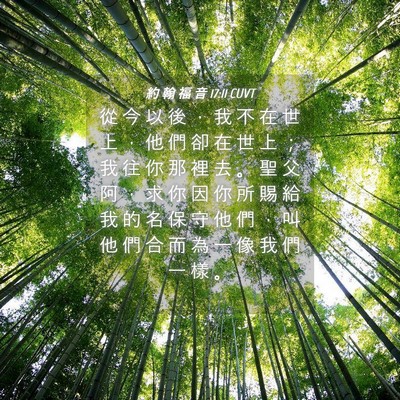 Picture 04 - 約 翰 福 音 17:11 CUVT - 從 今 以 後 ， 我 不 在 世 上 ， 他 - Bible Verse Picture