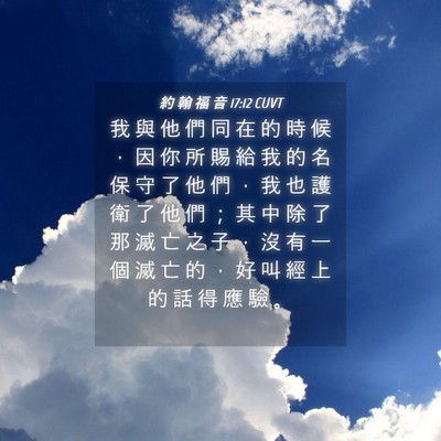 Picture 04 - 約 翰 福 音 17:12 CUVT - 我 與 他 們 同 在 的 時 候 ， 因 你 - Bible Verse Picture