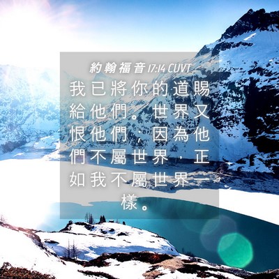 Picture 04 - 約 翰 福 音 17:14 CUVT - 我 已 將 你 的 道 賜 給 他 們 。 世 - Bible Verse Picture