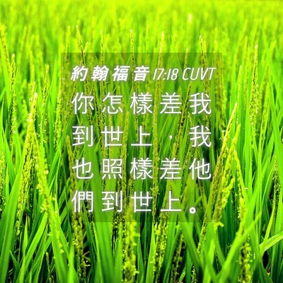 Picture 04 - 約 翰 福 音 17:18 CUVT - 你 怎 樣 差 我 到 世 上 ， 我 也 照 - Bible Verse Picture