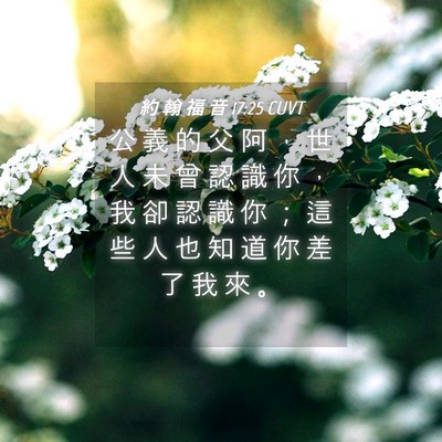 Picture 04 - 約 翰 福 音 17:25 CUVT - 公 義 的 父 阿 ， 世 人 未 曾 認 識 - Bible Verse Picture