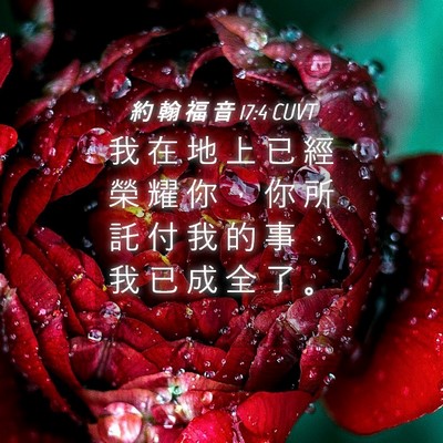 Picture 04 - 約 翰 福 音 17:4 CUVT - 我 在 地 上 已 經 榮 耀 你 ， 你 所 - Bible Verse Picture