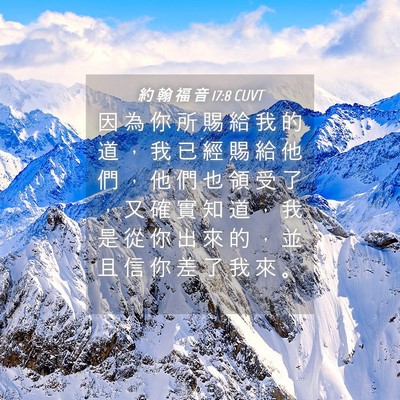 Picture 04 - 約 翰 福 音 17:8 CUVT - 因 為 你 所 賜 給 我 的 道 ， 我 已 - Bible Verse Picture