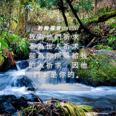Picture 04 - 約 翰 福 音 17:9 CUVT - 我 為 他 們 祈 求 ， 不 為 世 人 祈 - Bible Verse Picture