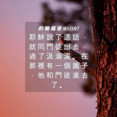 Picture 04 - 約 翰 福 音 18:1 CUVT - 耶 穌 說 了 這 話 ， 就 同 門 徒 出 - Bible Verse Picture