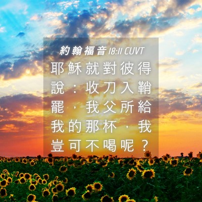 Picture 04 - 約 翰 福 音 18:11 CUVT - 耶 穌 就 對 彼 得 說 ： 收 刀 入 鞘 - Bible Verse Picture
