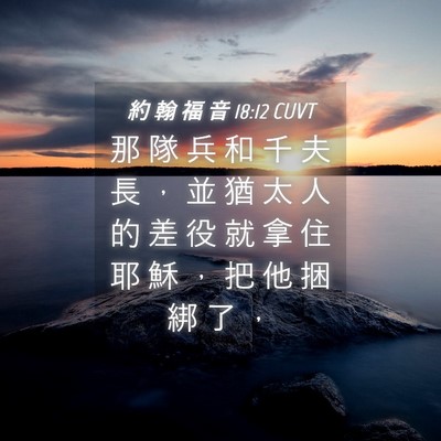 Picture 04 - 約 翰 福 音 18:12 CUVT - 那 隊 兵 和 千 夫 長 ， 並 猶 太 人 - Bible Verse Picture