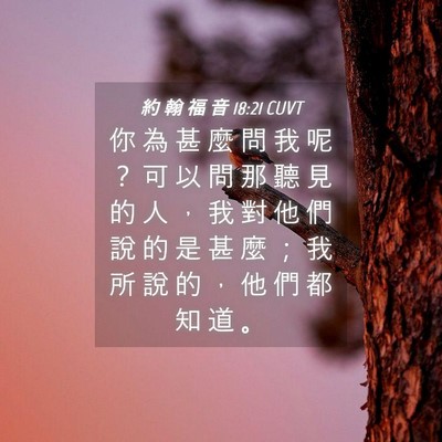 Picture 04 - 約 翰 福 音 18:21 CUVT - 你 為 甚 麼 問 我 呢 ？ 可 以 問 那 - Bible Verse Picture