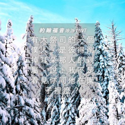 Picture 04 - 約 翰 福 音 18:26 CUVT - 有 大 祭 司 的 一 個 僕 人 ， 是 彼 - Bible Verse Picture