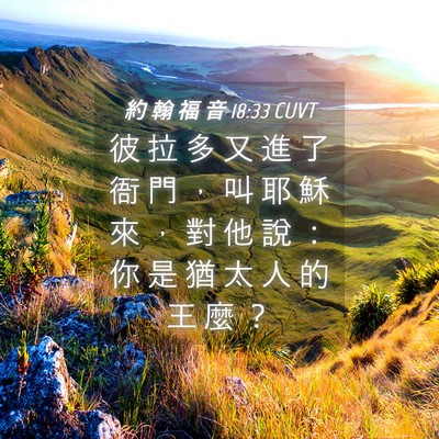 Picture 04 - 約 翰 福 音 18:33 CUVT - 彼 拉 多 又 進 了 衙 門 ， 叫 耶 穌 - Bible Verse Picture