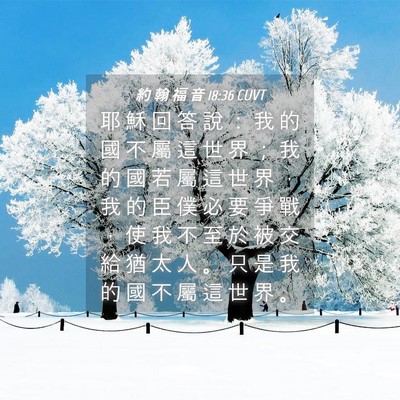 Picture 04 - 約 翰 福 音 18:36 CUVT - 耶 穌 回 答 說 ： 我 的 國 不 屬 這 - Bible Verse Picture