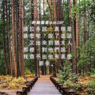Picture 04 - 約 翰 福 音 18:38 CUVT - 彼 拉 多 說 ： 真 理 是 甚 麼 呢 ？ - Bible Verse Picture