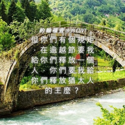 Picture 04 - 約 翰 福 音 18:39 CUVT - 但 你 們 有 個 規 矩 ， 在 逾 越 節 - Bible Verse Picture