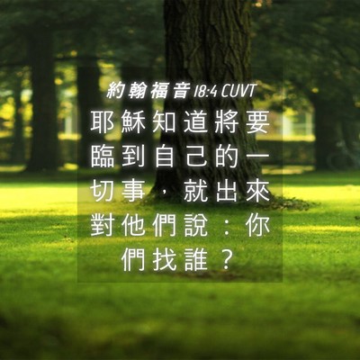 Picture 04 - 約 翰 福 音 18:4 CUVT - 耶 穌 知 道 將 要 臨 到 自 己 的 一 - Bible Verse Picture