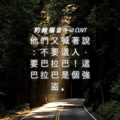 Picture 04 - 約 翰 福 音 18:40 CUVT - 他 們 又 喊 著 說 ： 不 要 這 人 ， - Bible Verse Picture
