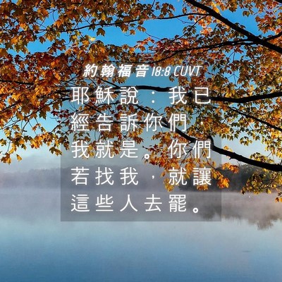 Picture 04 - 約 翰 福 音 18:8 CUVT - 耶 穌 說 ： 我 已 經 告 訴 你 們 ， - Bible Verse Picture