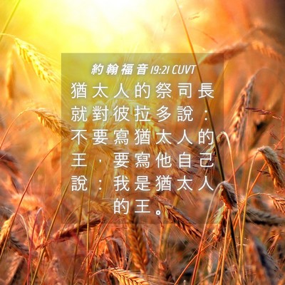 Picture 04 - 約 翰 福 音 19:21 CUVT - 猶 太 人 的 祭 司 長 就 對 彼 拉 多 - Bible Verse Picture