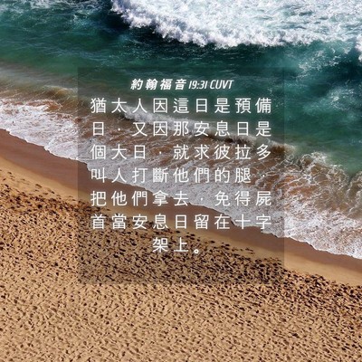 Picture 04 - 約 翰 福 音 19:31 CUVT - 猶 太 人 因 這 日 是 預 備 日 ， 又 - Bible Verse Picture