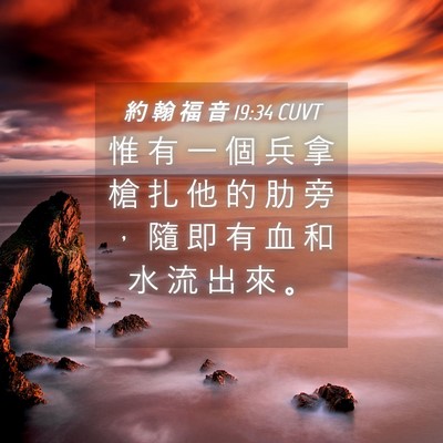 Picture 04 - 約 翰 福 音 19:34 CUVT - 惟 有 一 個 兵 拿 槍 扎 他 的 肋 旁 - Bible Verse Picture