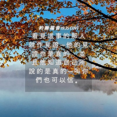 Picture 04 - 約 翰 福 音 19:35 CUVT - 看 見 這 事 的 那 人 就 作 見 證 ─ - Bible Verse Picture