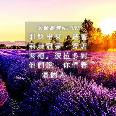 Picture 04 - 約 翰 福 音 19:5 CUVT - 耶 穌 出 來 ， 戴 著 荊 棘 冠 冕 ， - Bible Verse Picture
