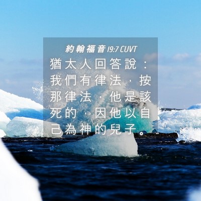 Picture 04 - 約 翰 福 音 19:7 CUVT - 猶 太 人 回 答 說 ： 我 們 有 律 法 - Bible Verse Picture