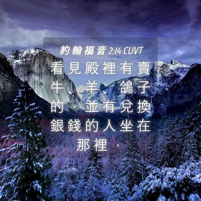 Picture 04 - 約 翰 福 音 2:14 CUVT - 看 見 殿 裡 有 賣 牛 、 羊 、 鴿 子 - Bible Verse Picture