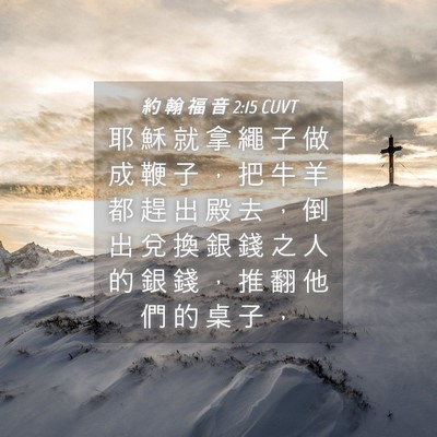 Picture 04 - 約 翰 福 音 2:15 CUVT - 耶 穌 就 拿 繩 子 做 成 鞭 子 ， 把 - Bible Verse Picture