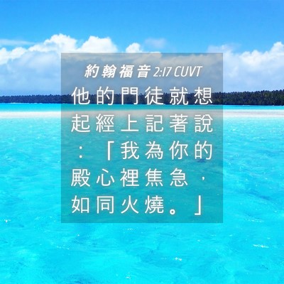 Picture 04 - 約 翰 福 音 2:17 CUVT - 他 的 門 徒 就 想 起 經 上 記 著 說 - Bible Verse Picture
