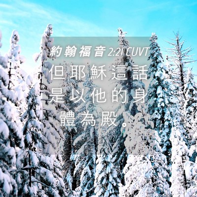 Picture 04 - 約 翰 福 音 2:21 CUVT - 但 耶 穌 這 話 是 以 他 的 身 體 為 - Bible Verse Picture