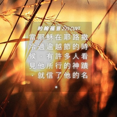 Picture 04 - 約 翰 福 音 2:23 CUVT - 當 耶 穌 在 耶 路 撒 冷 過 逾 越 節 - Bible Verse Picture