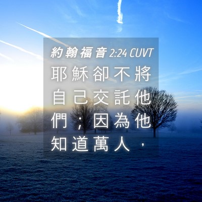 Picture 04 - 約 翰 福 音 2:24 CUVT - 耶 穌 卻 不 將 自 己 交 託 他 們 ； - Bible Verse Picture