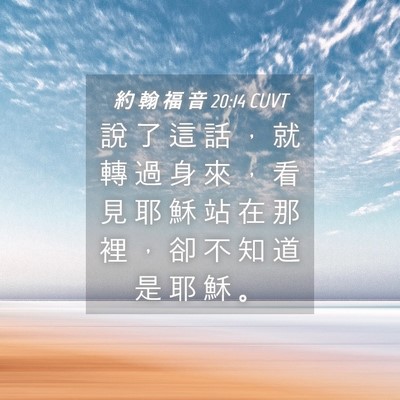 Picture 04 - 約 翰 福 音 20:14 CUVT - 說 了 這 話 ， 就 轉 過 身 來 ， 看 - Bible Verse Picture