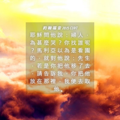 Picture 04 - 約 翰 福 音 20:15 CUVT - 耶 穌 問 他 說 ： 婦 人 ， 為 甚 麼 - Bible Verse Picture