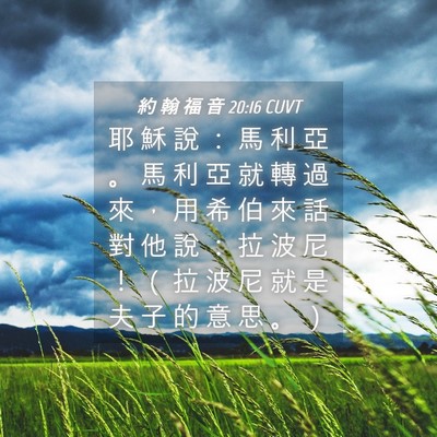 Picture 04 - 約 翰 福 音 20:16 CUVT - 耶 穌 說 ： 馬 利 亞 。 馬 利 亞 就 - Bible Verse Picture