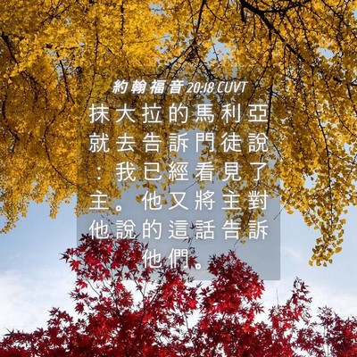 Picture 04 - 約 翰 福 音 20:18 CUVT - 抹 大 拉 的 馬 利 亞 就 去 告 訴 門 - Bible Verse Picture