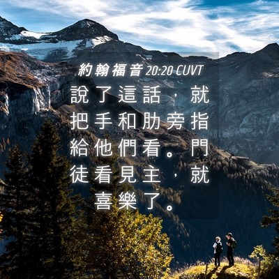 Picture 04 - 約 翰 福 音 20:20 CUVT - 說 了 這 話 ， 就 把 手 和 肋 旁 指 - Bible Verse Picture
