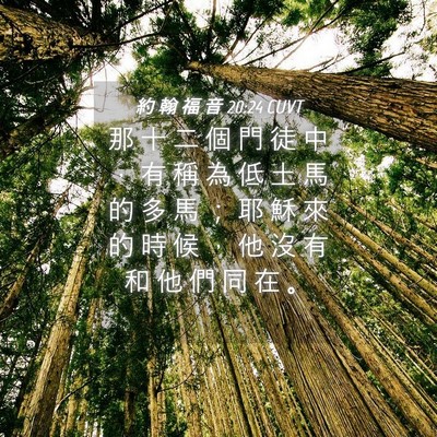 Picture 04 - 約 翰 福 音 20:24 CUVT - 那 十 二 個 門 徒 中 ， 有 稱 為 低 - Bible Verse Picture