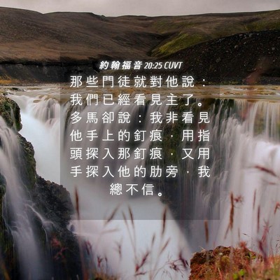 Picture 04 - 約 翰 福 音 20:25 CUVT - 那 些 門 徒 就 對 他 說 ： 我 們 已 - Bible Verse Picture
