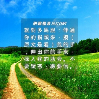 Picture 04 - 約 翰 福 音 20:27 CUVT - 就 對 多 馬 說 ： 伸 過 你 的 指 頭 - Bible Verse Picture