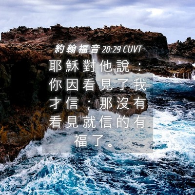 Picture 04 - 約 翰 福 音 20:29 CUVT - 耶 穌 對 他 說 ： 你 因 看 見 了 我 - Bible Verse Picture