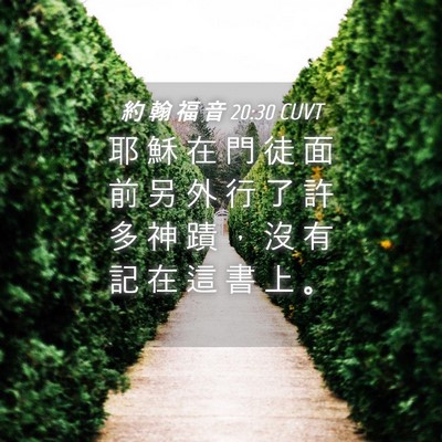 Picture 04 - 約 翰 福 音 20:30 CUVT - 耶 穌 在 門 徒 面 前 另 外 行 了 許 - Bible Verse Picture