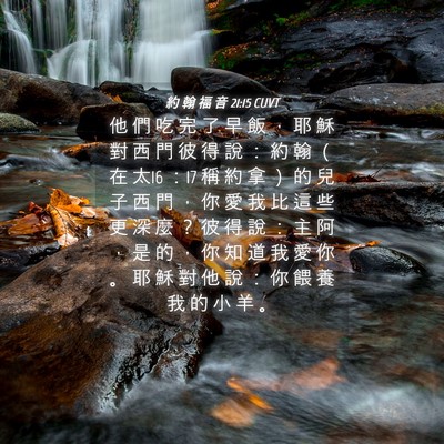 Picture 04 - 約 翰 福 音 21:15 CUVT - 他 們 吃 完 了 早 飯 ， 耶 穌 對 西 - Bible Verse Picture