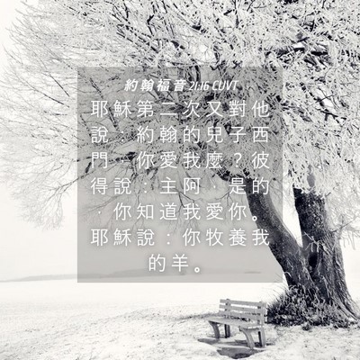 Picture 04 - 約 翰 福 音 21:16 CUVT - 耶 穌 第 二 次 又 對 他 說 ： 約 翰 - Bible Verse Picture
