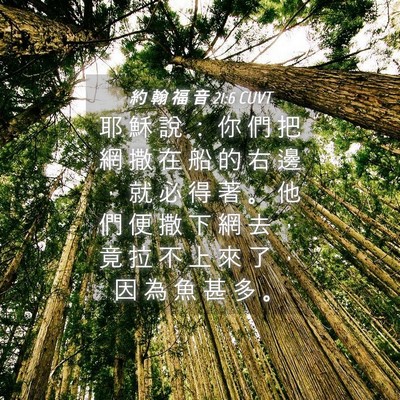 Picture 04 - 約 翰 福 音 21:6 CUVT - 耶 穌 說 ： 你 們 把 網 撒 在 船 的 - Bible Verse Picture