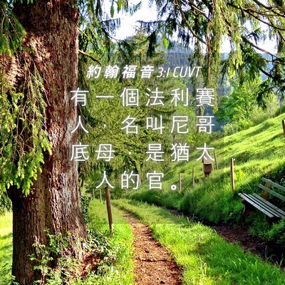 Picture 04 - 約 翰 福 音 3:1 CUVT - 有 一 個 法 利 賽 人 ， 名 叫 尼 哥 - Bible Verse Picture