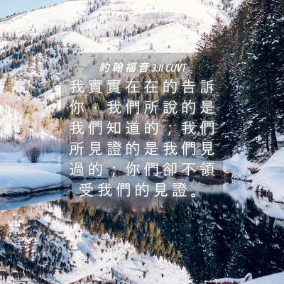 Picture 04 - 約 翰 福 音 3:11 CUVT - 我 實 實 在 在 的 告 訴 你 ， 我 們 - Bible Verse Picture